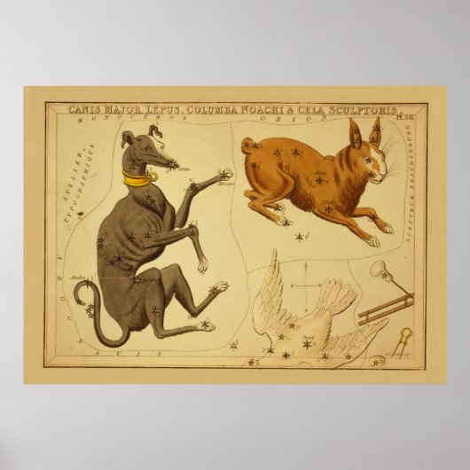 Canis Major  Astronomical Star Chart Afbeelding Poster (Voorkant)