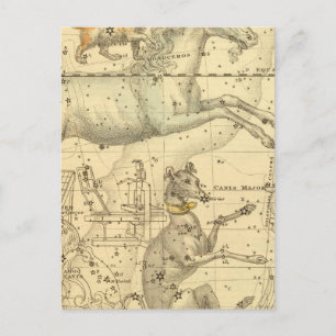 Canis Major, Canis Minor, Monoceros, Argo Navis Briefkaart