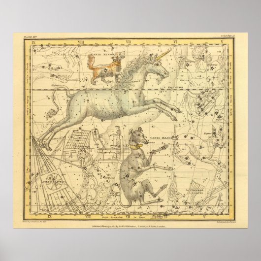 Canis Major, Canis Minor, Monoceros, Argo Navis Poster (Voorkant)