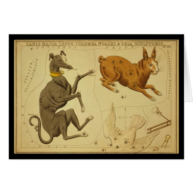Canis Major, Lepus, Columba Noachi Cela Sculptoris (Voorkant Horizontaal)