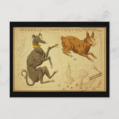 Canis Major, Lepus, Columba Noachi Cela Sculptoris Briefkaart (Voorkant)