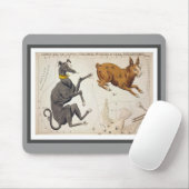 Canis Major, Lepus, Columba Noachi en Cela Muismat (Met muis)