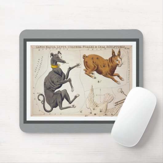 Canis Major, Lepus, Columba Noachi en Cela Muismat (Met muis)