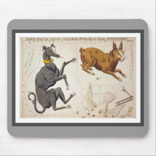 Canis Major, Lepus, Columba Noachi en Cela Muismat