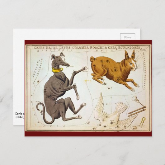 Canis Major, Lepus, Columba Noachi en Cela Sculpto Briefkaart (Voorkant / Achterkant)