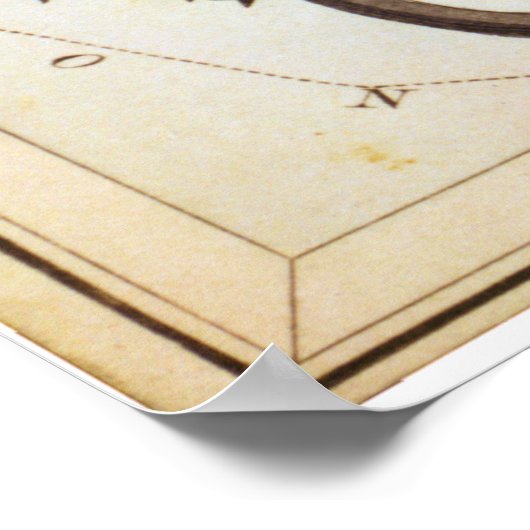 Canis Major, Lepus, Columba Noachi en Cela Sculpto Poster (Hoek)