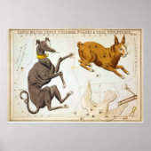 Canis Major, Lepus, Columba Noachi en Cela Sculpto Poster (Voorkant)