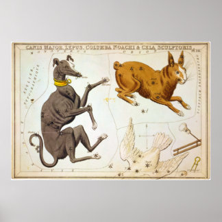 Canis Major, Lepus, Columba Noachi en Cela Sculpto Poster