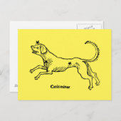 Canis Minor, 1482 Briefkaart (Voorkant / Achterkant)