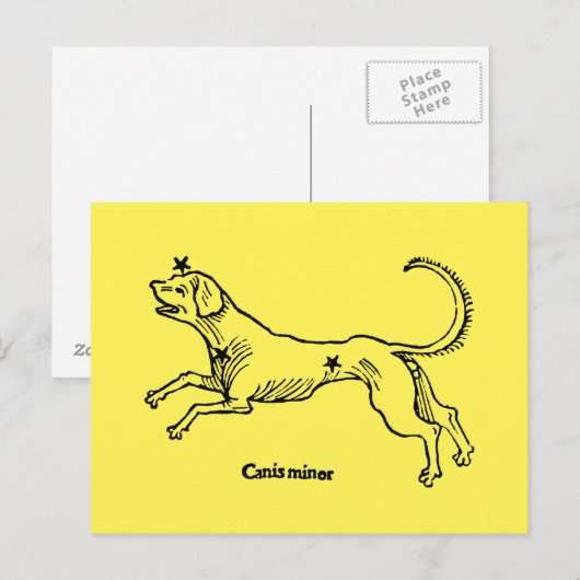 Canis Minor, 1482 Briefkaart (Voorkant / Achterkant)
