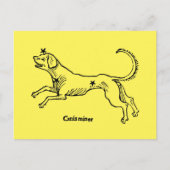 Canis Minor, 1482 Briefkaart (Voorkant)