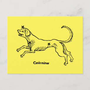 Canis Minor, 1482 Briefkaart