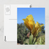 Canna # 2 briefkaart (Voorkant / Achterkant)