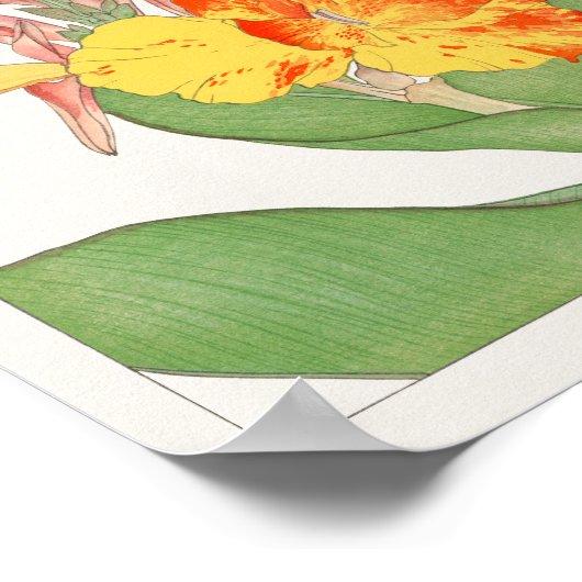 Canna door Tanigami Konan Poster (Hoek)