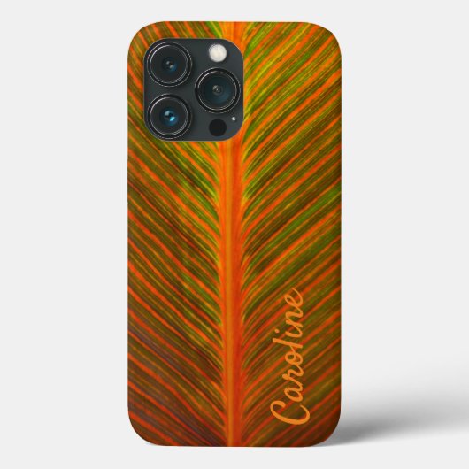 Canna Leaf Oranje en Green Stripe Custom Name Case-Mate iPhone Case (Achterkant)