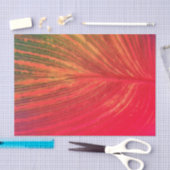 Canna Leaf Roze Tinge Tissuepapier (Craft)