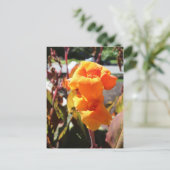 Canna Lily Flower Briefkaart (Staand voorkant)