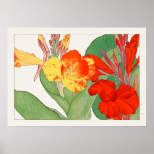 Canna Lily, Garden Flower, Konan,  Natuur Poster