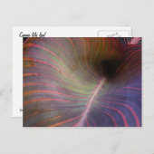 Canna Lily leaf ~ briefkaart (Voorkant / Achterkant)