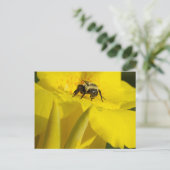 Canna Lily met Bumble Bee Briefkaart (Staand voorkant)