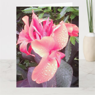 Canna Lily Photo BIG Kaart & Insp foto/woorden ach