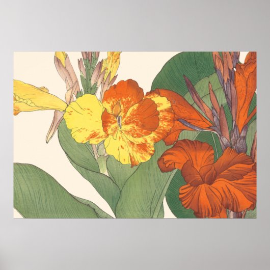 Canna Lily Poster (Voorkant)