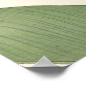 Canna Lily Poster (Hoek)