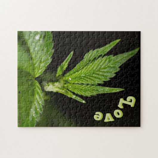 Canna Puzzle Legpuzzel (Horizontaal)