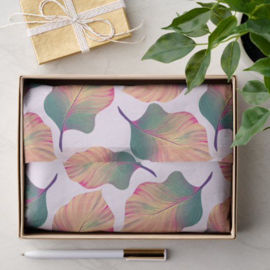 Canna Tropicanna Leaves in Pastel Tissuepapier (Geschenk)