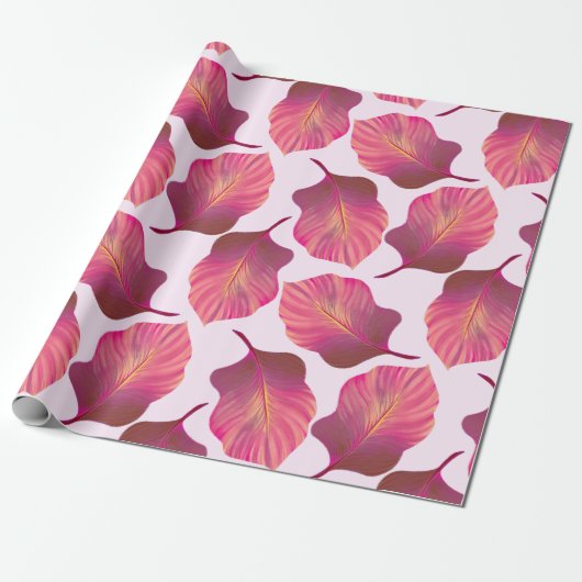 Canna Tropicanna Leaves in Pink Cadeaupapier (Uitgerold)
