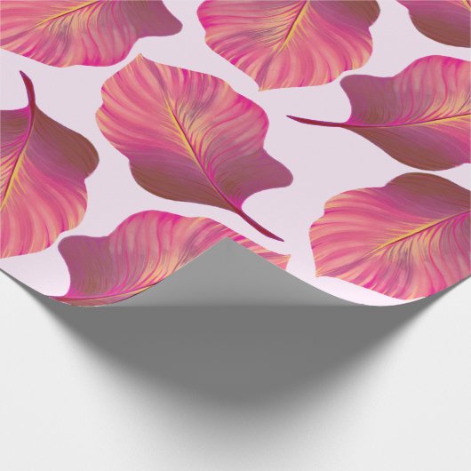 Canna Tropicanna Leaves in Pink Cadeaupapier (Hoek)