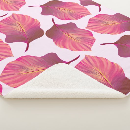 Canna Tropicanna Leaves in Pink Sherpa Deken (3/4)