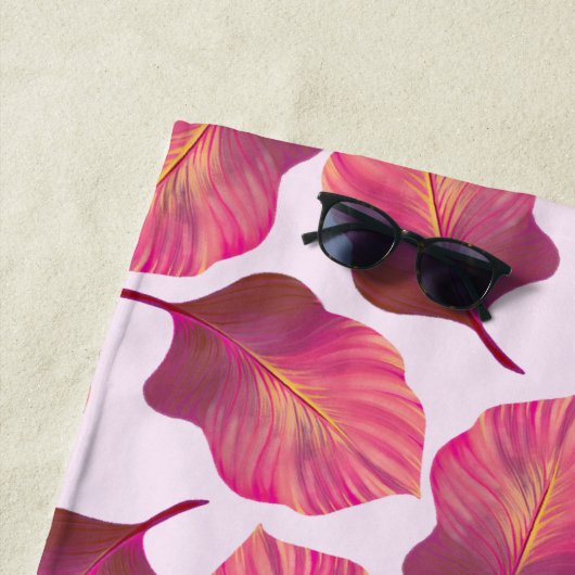 Canna Tropicanna Leaves in Pink Strandlaken (In situ)