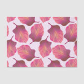 Canna Tropicanna Leaves in Pink Tissuepapier (Voorkant)