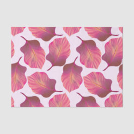 Canna Tropicanna Leaves in Pink Tissuepapier