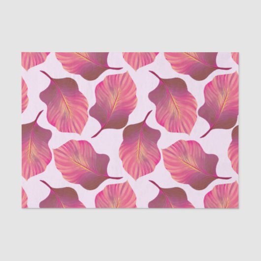 Canna Tropicanna Leaves in Pink Tissuepapier (Voorkant)