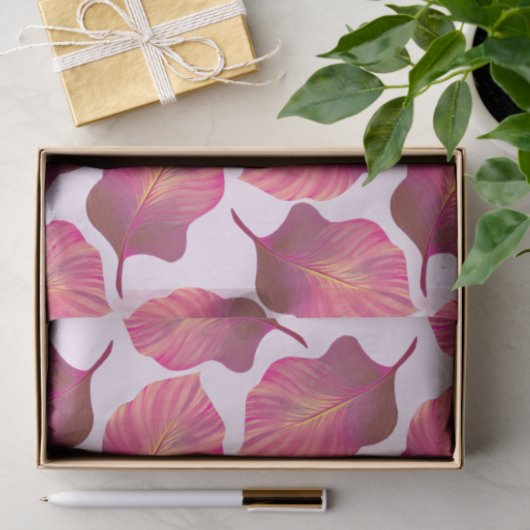 Canna Tropicanna Leaves in Pink Tissuepapier (Geschenk)