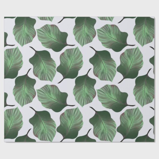 Canna Tropicanna Tropical Leaves, Green Cadeaupapier (Vlak)