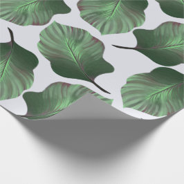 Canna Tropicanna Tropical Leaves, Green Cadeaupapier