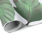 Canna Tropicanna Tropical Leaves, Green Cadeaupapier (Rol Hoek)