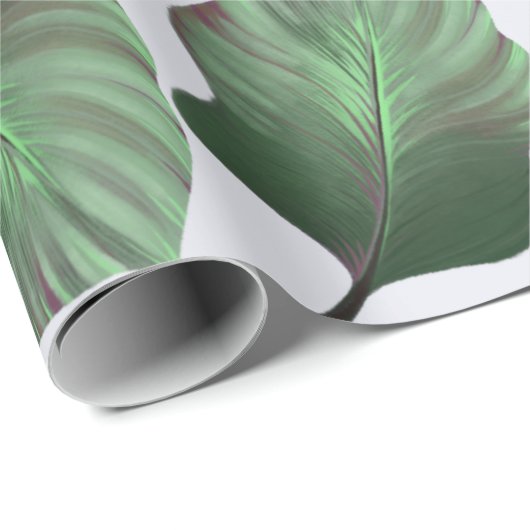 Canna Tropicanna Tropical Leaves, Green Cadeaupapier (Rol Hoek)