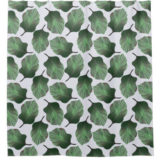 Canna Tropicanna Tropical Leaves, Green Douchegordijn (Voorkant)