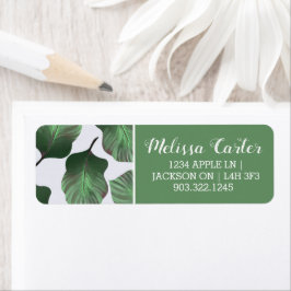 Canna Tropicanna Tropical Leaves, Green Etiket