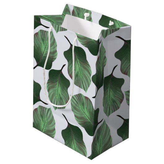 Canna Tropicanna Tropical Leaves, Green Medium Cadeauzakje (Achterkant Gekanteld)