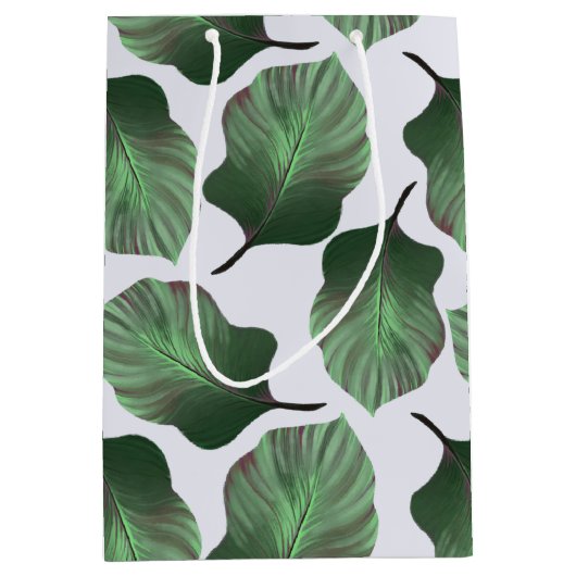 Canna Tropicanna Tropical Leaves, Green Medium Cadeauzakje (Voorkant)