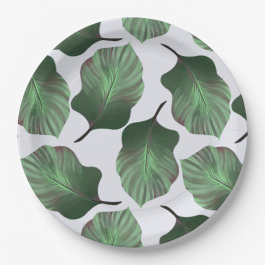 Canna Tropicanna Tropical Leaves, Green Papieren Bordje (Voorkant)