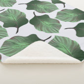 Canna Tropicanna Tropical Leaves, Green Sherpa Deken (3/4)