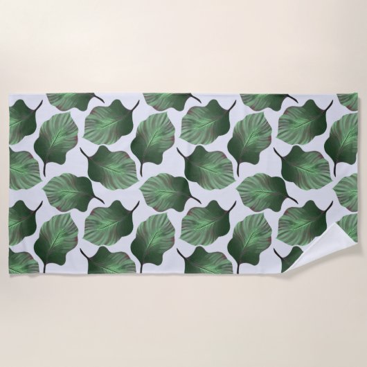 Canna Tropicanna Tropical Leaves, Green Strandlaken (Voorkant)