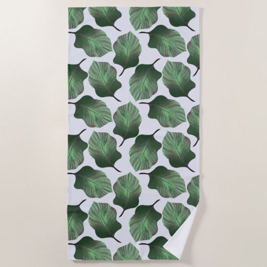 Canna Tropicanna Tropical Leaves, Green Strandlaken (Voorkant)