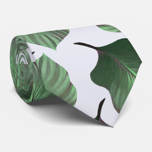 Canna Tropicanna Tropical Leaves, Green Stropdas (Opgerold)